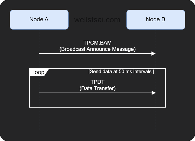 BAM - Multi-Packet Transmission