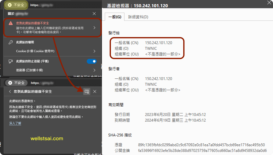 瀏覽 NSFW.com,被 DNS 劫持